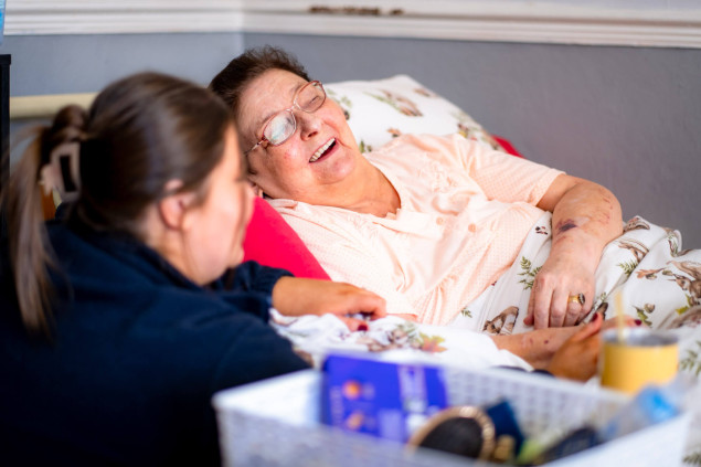 home care franchise